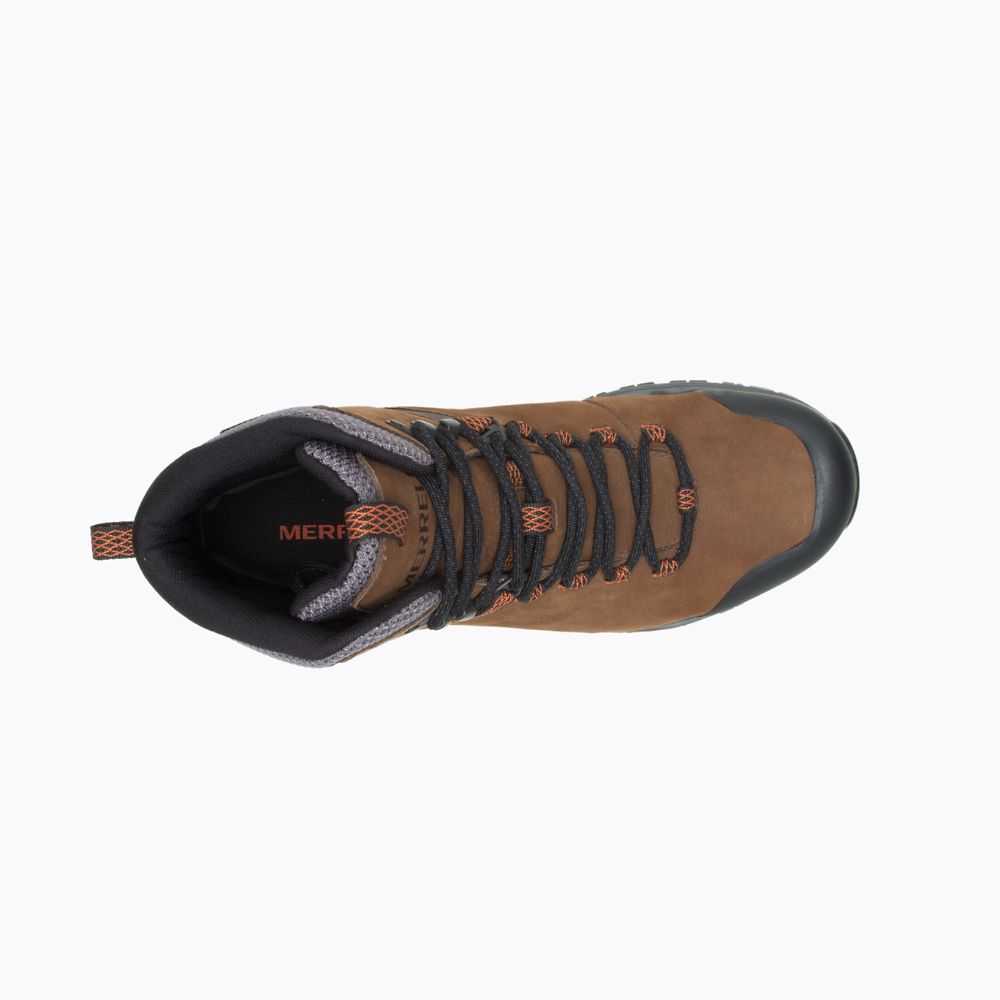 Botas De Senderismo Merrell Phaserbound 2 Altos Hombre Marrom Oscuro | México-6984022