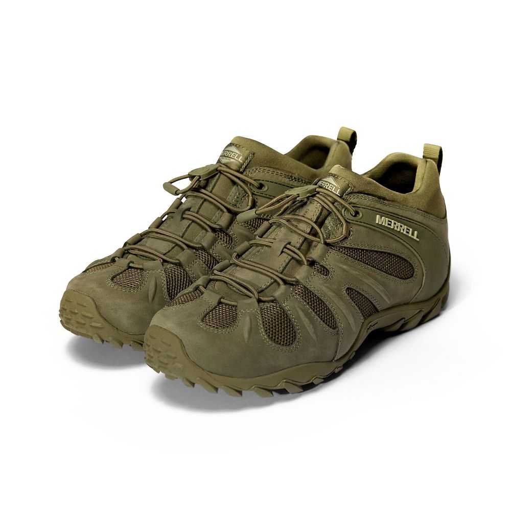 Botas Militares Merrell Cham 8 Stretch Tactical Hombre Verde Oliva Oscuro | México-4038762