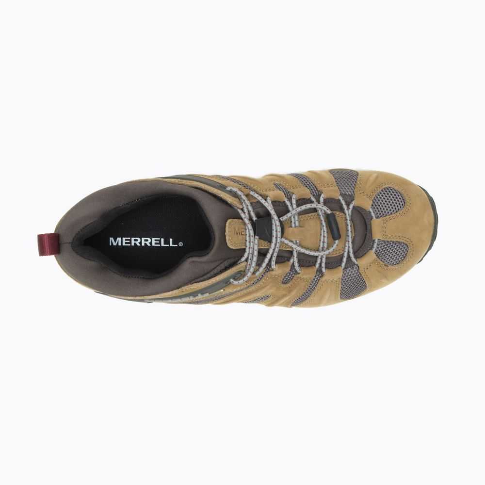 Tenis Merrell Chameleon 8 Stretch Hombre Marrom Claro | México-2764960