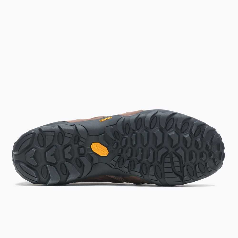 Tenis Senderismo Merrell Chameleon 8 Stretch Hombre Marrom | México-2706624