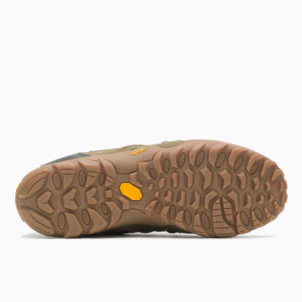 Tenis Senderismo Merrell Chameleon 8 Stretch Hombre Verde Oliva | México-6372642