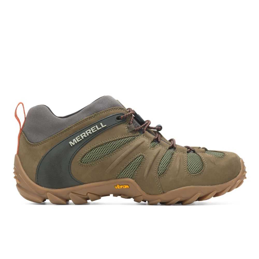 Tenis Senderismo Merrell Chameleon 8 Stretch Hombre Verde Oliva | México-6372642