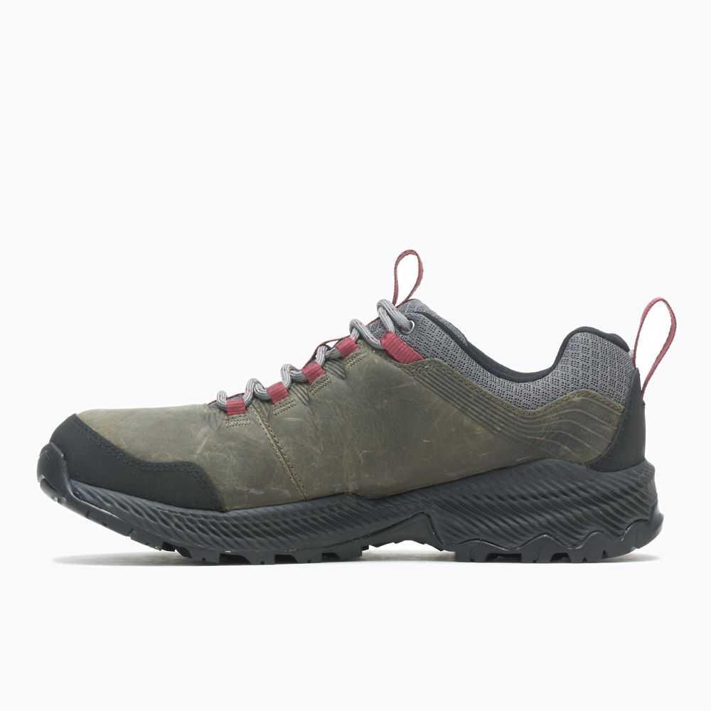 Tenis Senderismo Merrell Forestbound Hombre Grises | México-2728436