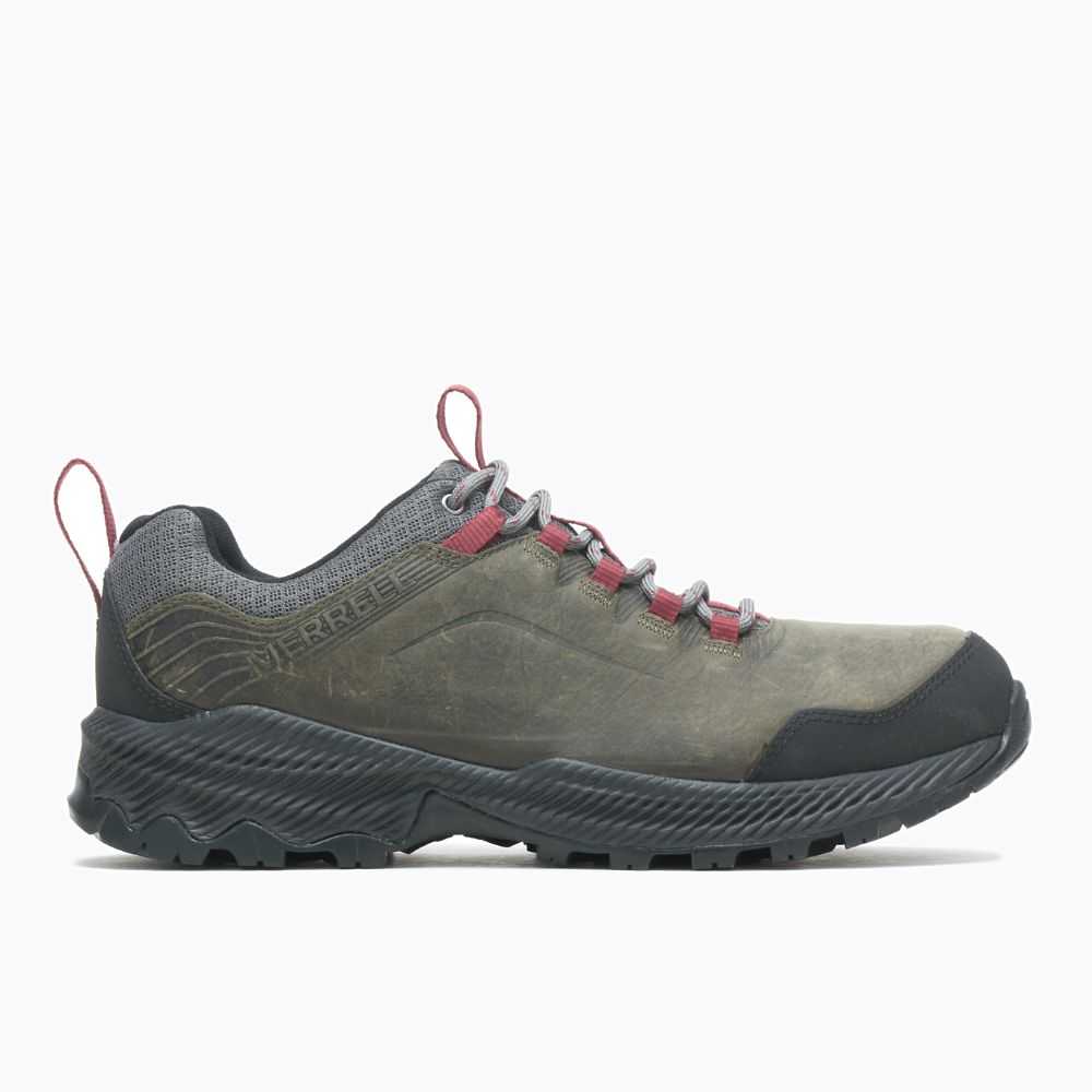 Tenis Senderismo Merrell Forestbound Hombre Grises | México-2728436