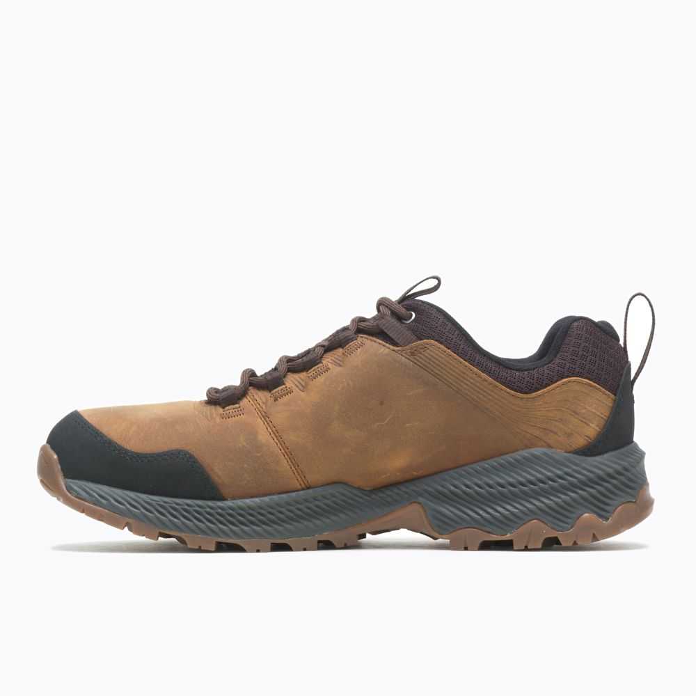 Tenis Senderismo Merrell Forestbound Hombre Marrom | México-8240673