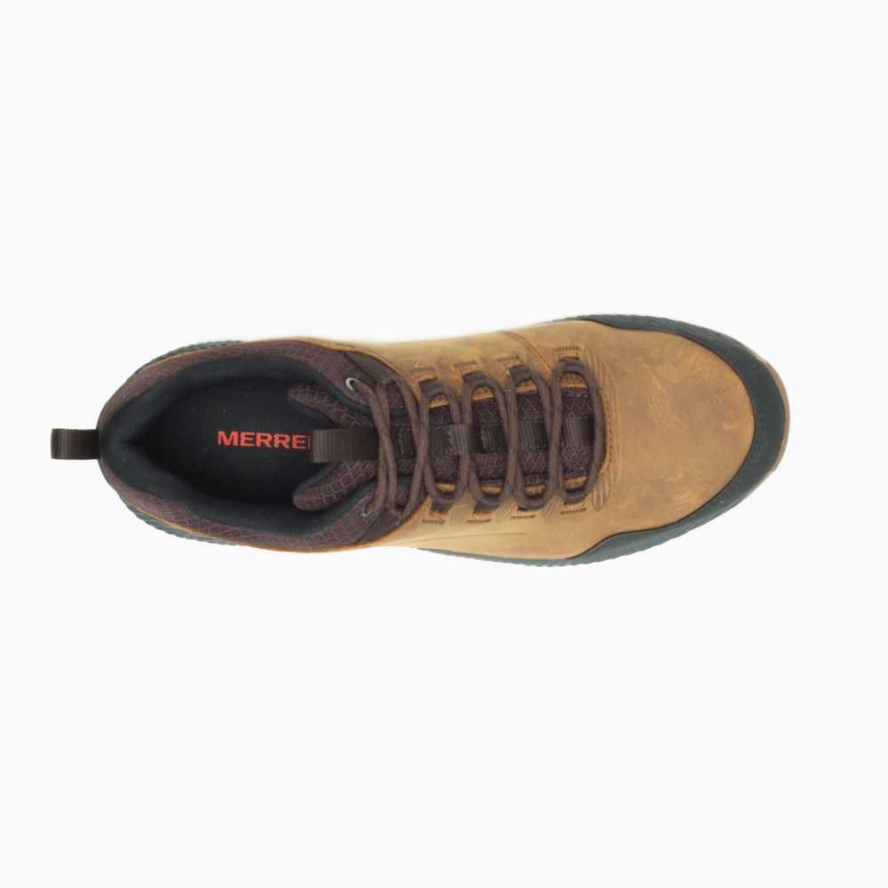 Tenis Senderismo Merrell Forestbound Hombre Marrom | México-8240673