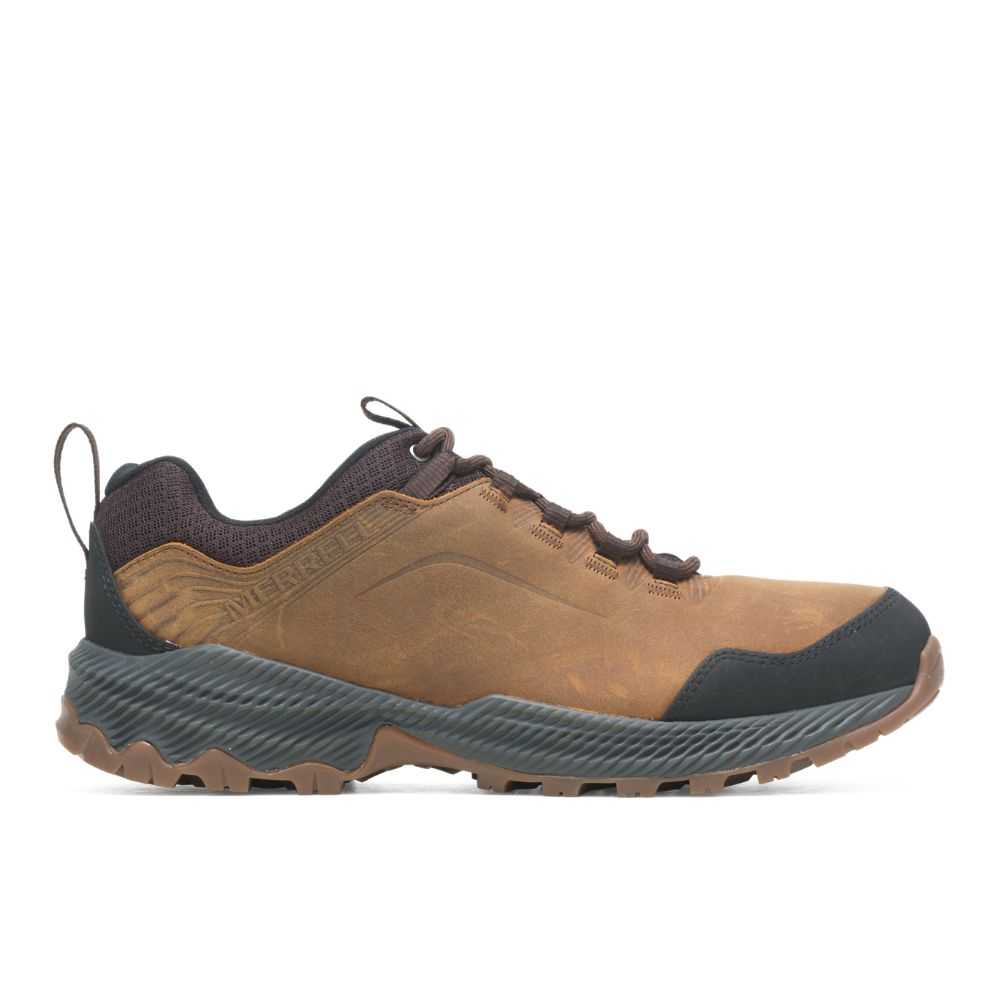 Tenis Senderismo Merrell Forestbound Hombre Marrom | México-8240673