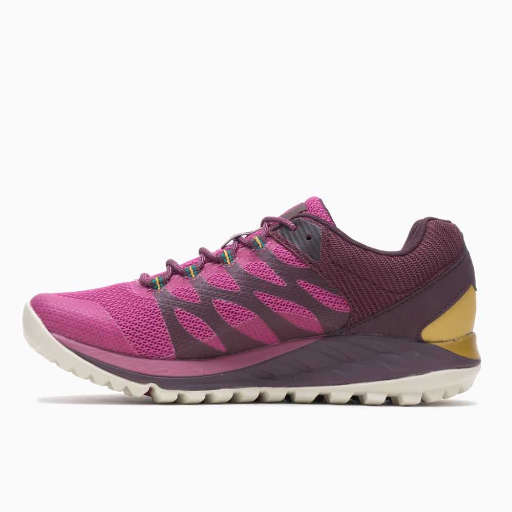 Tenis Trail Running Merrell Antora 2 GORE-TEX® Mujer Fucsia | México-7602329