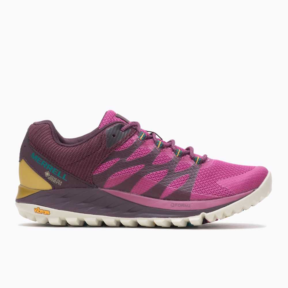 Tenis Trail Running Merrell Antora 2 GORE-TEX® Mujer Fucsia | México-7602329