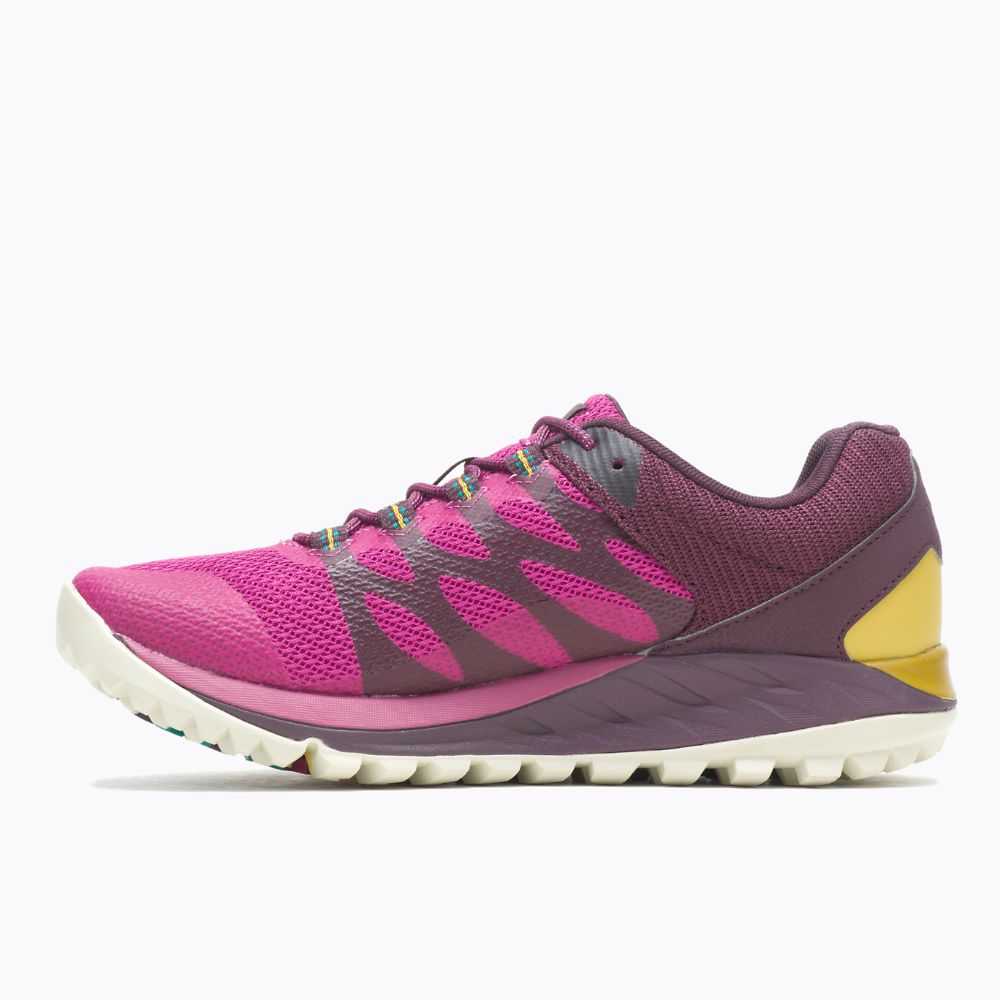 Tenis Trail Running Merrell Antora 2 Mujer Fucsia | México-8270436