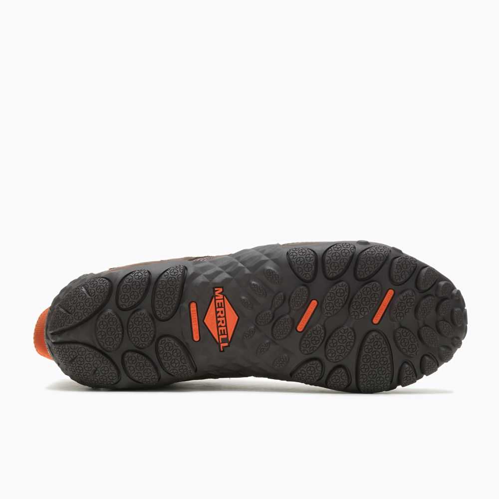 Zapatos De Seguridad Merrell Chameleon Flux Hombre Marrom | México-6639202