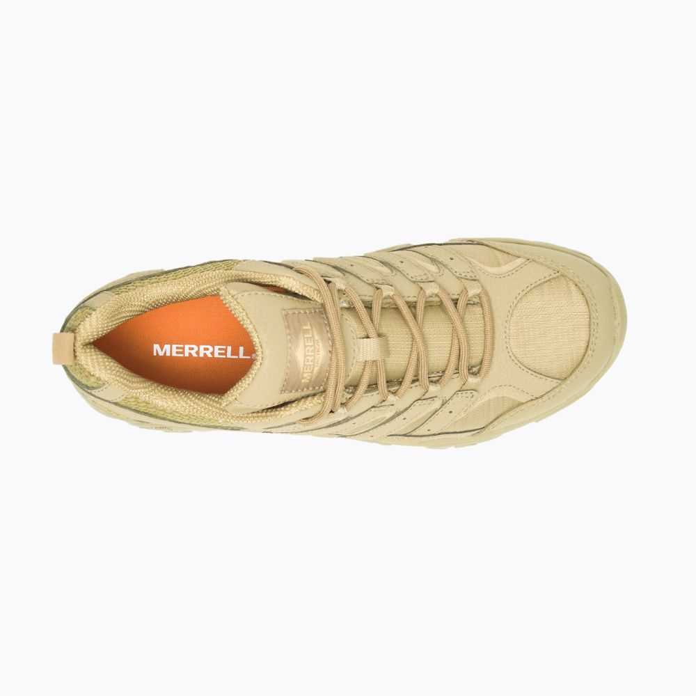 Zapatos De Seguridad Merrell Moab 2 Tactical Hombre Marrom | México-6874369