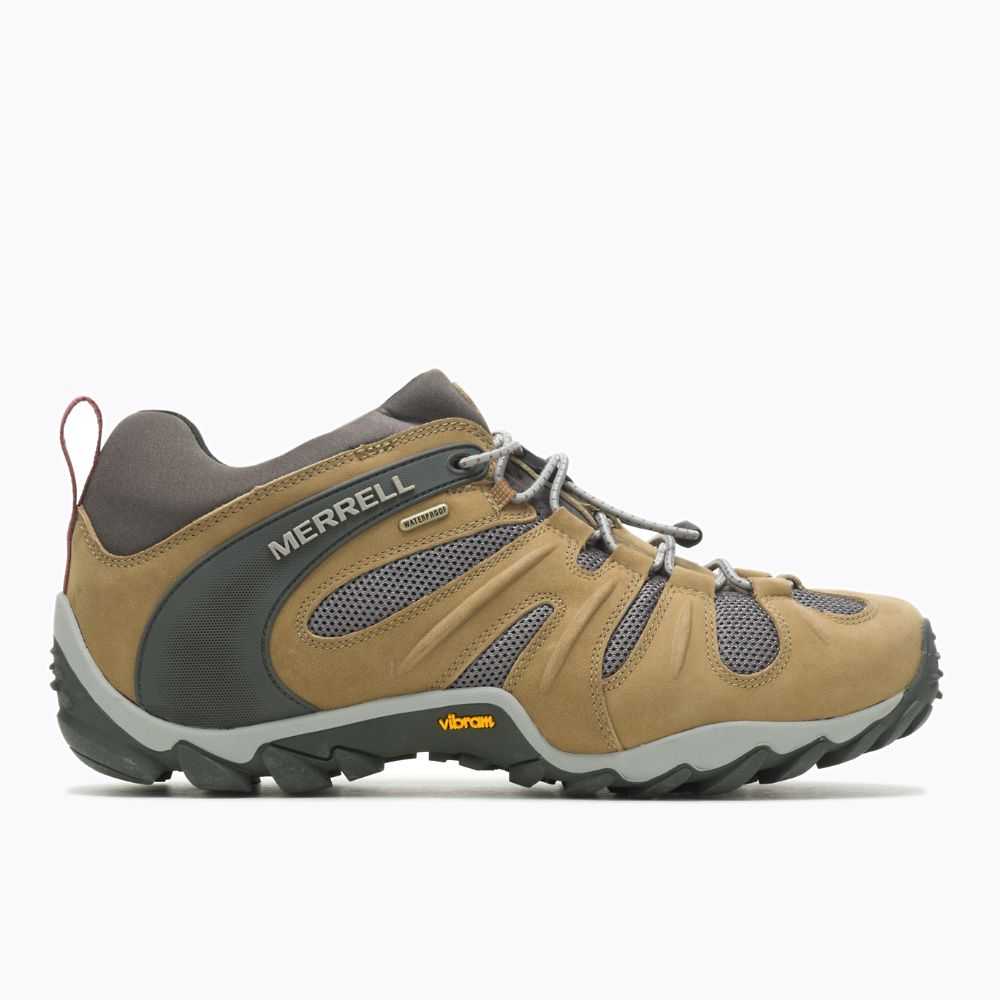 Tenis Senderismo Merrell Chameleon 8 Stretch Hombre Marrom Claro | México-7208693