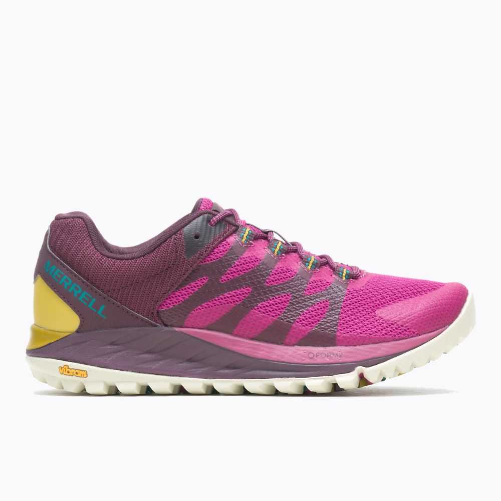 Tenis Trail Running Merrell Antora 2 Mujer Fucsia | México-8270436